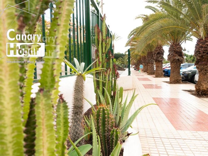 Foto 3a6a3660-7ad6-4c6c-a195-b9b0409845e7. Apartament amb calefacció aparcament piscina a Los Cristianos Arona