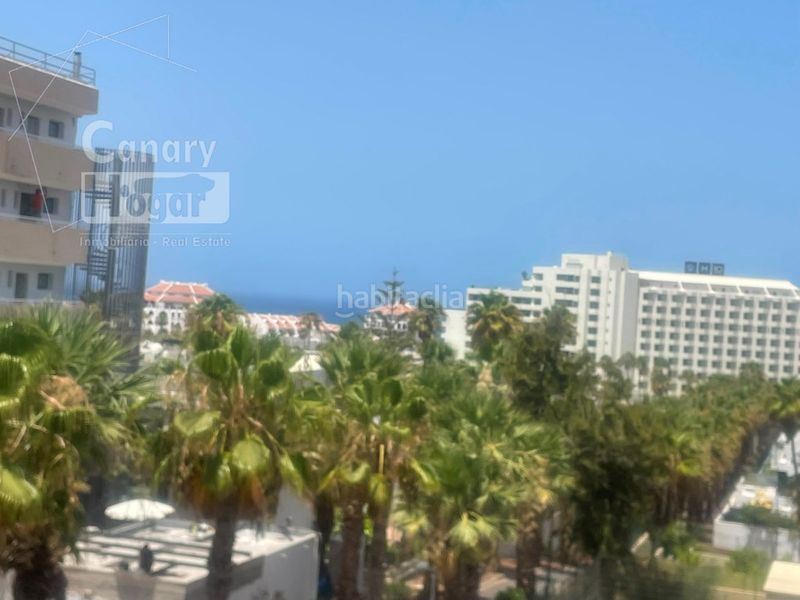 Foto 13587e12-6a71-4ccd-a136-5c6dae2bbc03. Estudi amb aparcament piscina a Playa de las Américas Arona