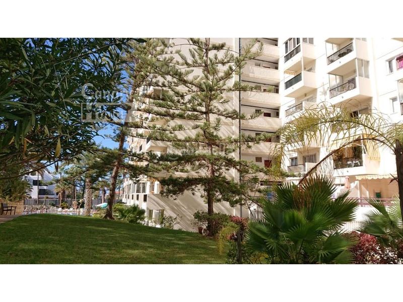 Foto f81b7fff-637c-4e47-955d-1cc7328ff575. Estudi amb aparcament piscina a Playa de las Américas Arona
