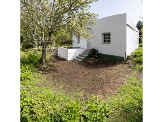 Casa in Garachico. Casa rodeado de naturaleza y bosques de pinos con chimenea, en l