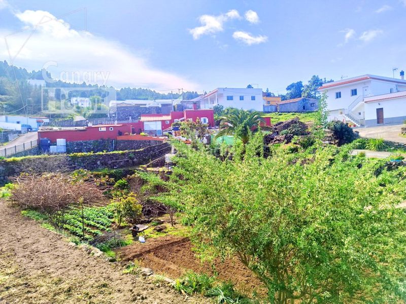 Foto f9fc6554-f1be-4019-93c5-5ab9e616d1ae. Casa amb aparcament a Garachico