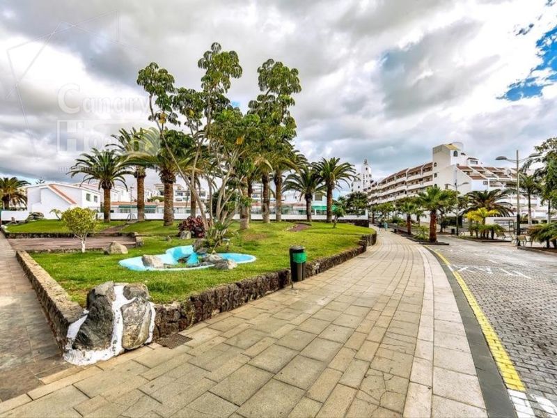 Foto 51a73899-2bce-4cc9-963e-a16b88d12771. Studiowohnung mit pool in San Eugenio Bajo Adeje