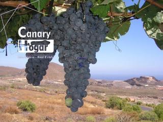 Masia a Aldea Blanca - Las Zocas. Finca en venta en aldea blanca con fantásticas vistas