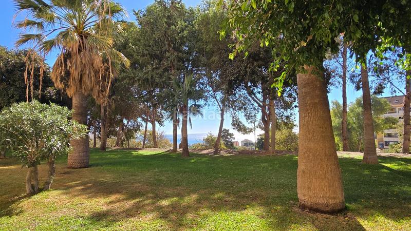 Foto 5cafd4cb-e3ca-4744-b9e3-2e1e42713762. Apartament amb piscina a Parque de la Paloma Benalmádena