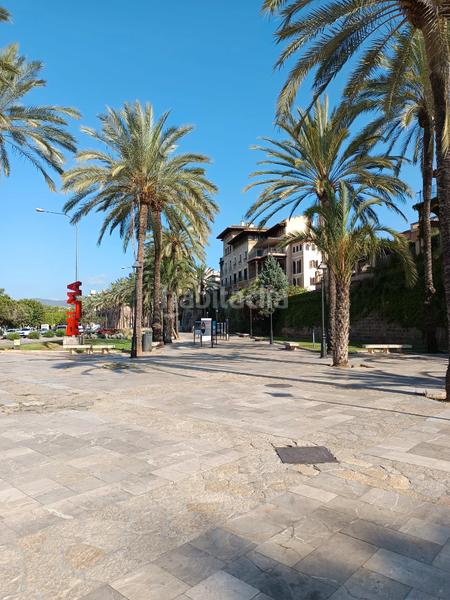 Foto 3ff2c94c-197b-4162-993a-49226d80df31. Appartamento in La Llotja-Born Palma de Mallorca