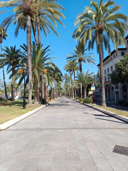 Foto faa94b9b-4938-4a6e-9bd9-30c15e6ee2ab. Appartamento in La Llotja-Born Palma de Mallorca