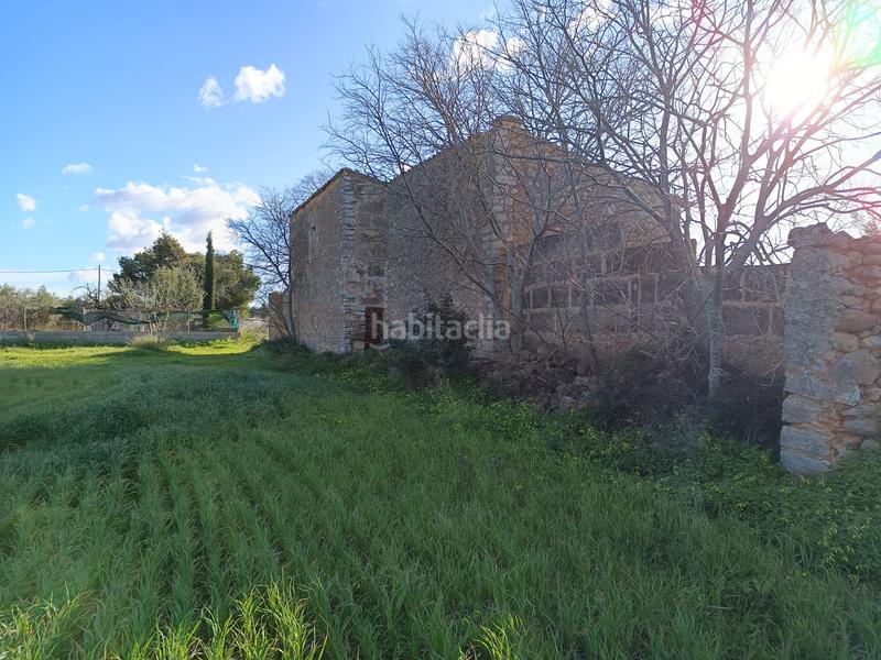 Foto 04324984-70b4-4dc9-ba4a-05cbe73921a1. FInca rústica a Zona Periurbana Inca