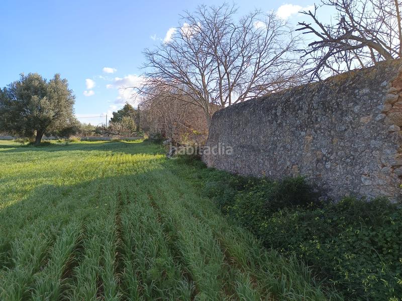 Foto 10c52159-b9fd-4ba4-a3a4-94b806180c95. FInca rústica a Zona Periurbana Inca