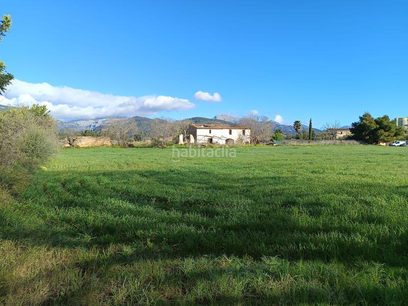 Foto 21628319-c266-432e-b260-1d8deb430cdf. FInca rústica a Zona Periurbana Inca