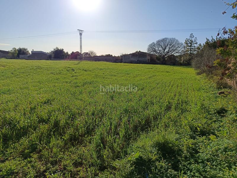 Foto 228bc1ef-b014-4f32-ac8d-a8e3080ae607. FInca rústica a Zona Periurbana Inca