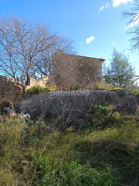 Foto 25a34190-f67d-4feb-83d1-3e3627178f07. FInca rústica a Zona Periurbana Inca