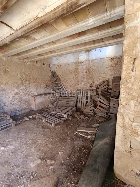 Foto 28e06ab7-1576-4b35-b96d-1c6093fd0c77. FInca rústica a Zona Periurbana Inca