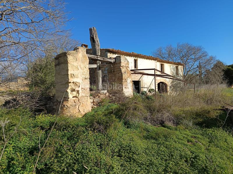 Foto 3e9ca7c1-d67f-4a92-a87f-d0e3a6775196. FInca rústica a Zona Periurbana Inca