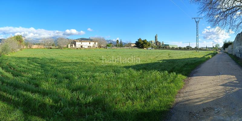 Foto 430654d2-3928-4ba8-a783-725110856e91. FInca rústica a Zona Periurbana Inca