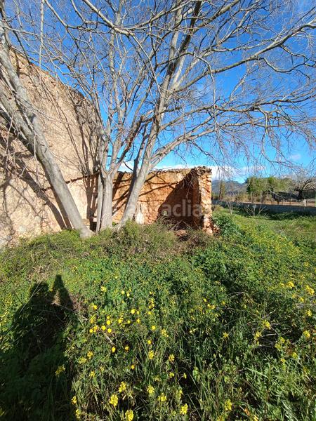 Foto 56f0607b-eb4c-4e3c-8366-205d3540b641. FInca rústica a Zona Periurbana Inca