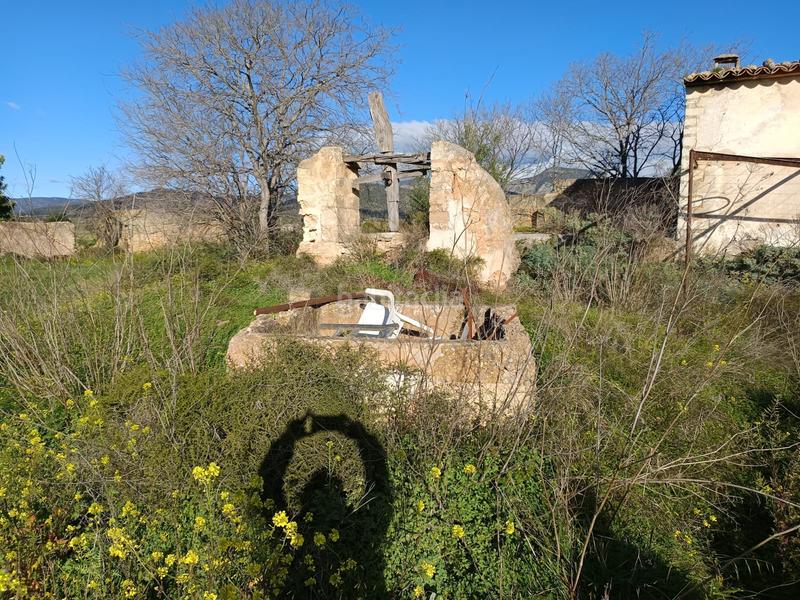 Foto 9690b2aa-23fa-4c1e-98b9-aadbb3f6ef34. FInca rústica a Zona Periurbana Inca