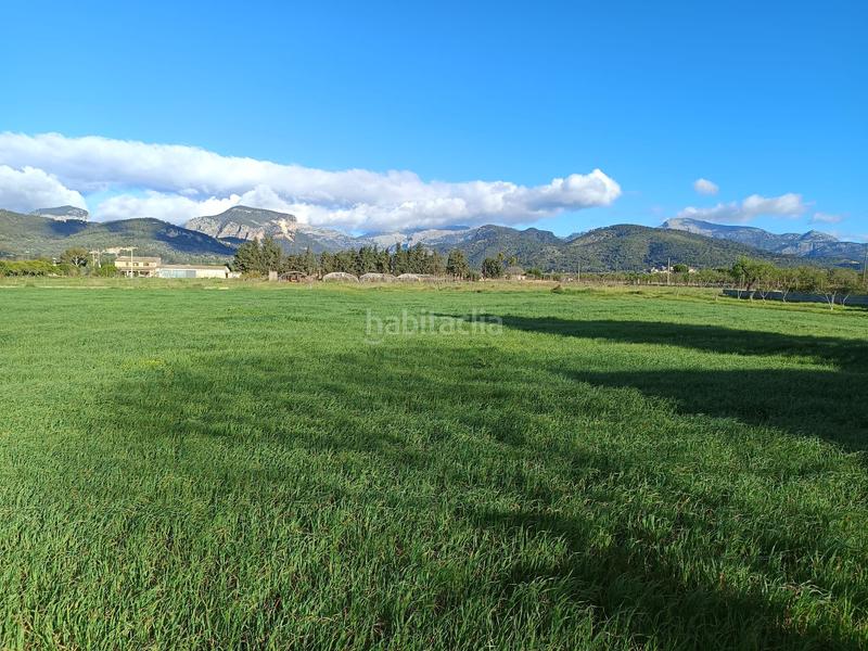 Foto 9c437414-21b7-455a-9c11-0dd43eb28456. FInca rústica a Zona Periurbana Inca