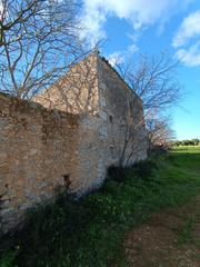 Rural plot  Diseminado poligono 10. Finca rústica en binissalem