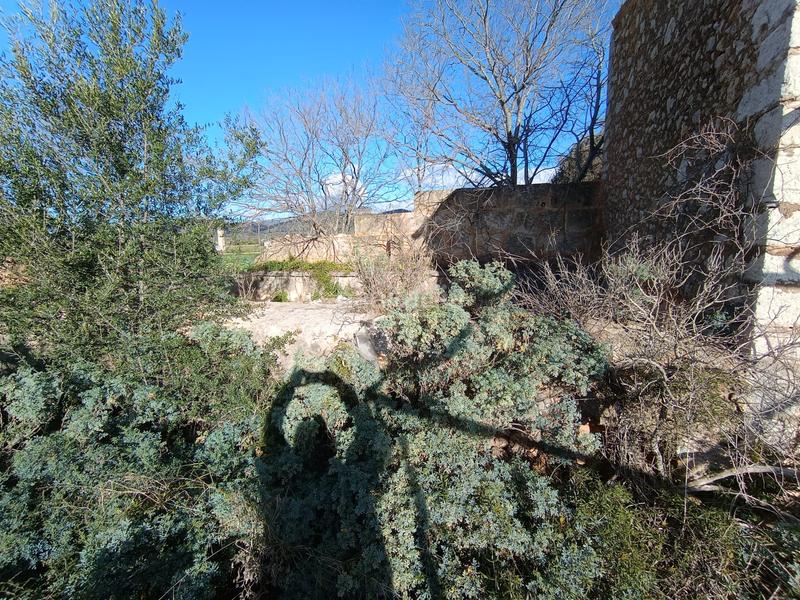 Foto b16afccf-7c84-4b8d-80ab-8d3d784682e2. FInca rústica a Zona Periurbana Inca