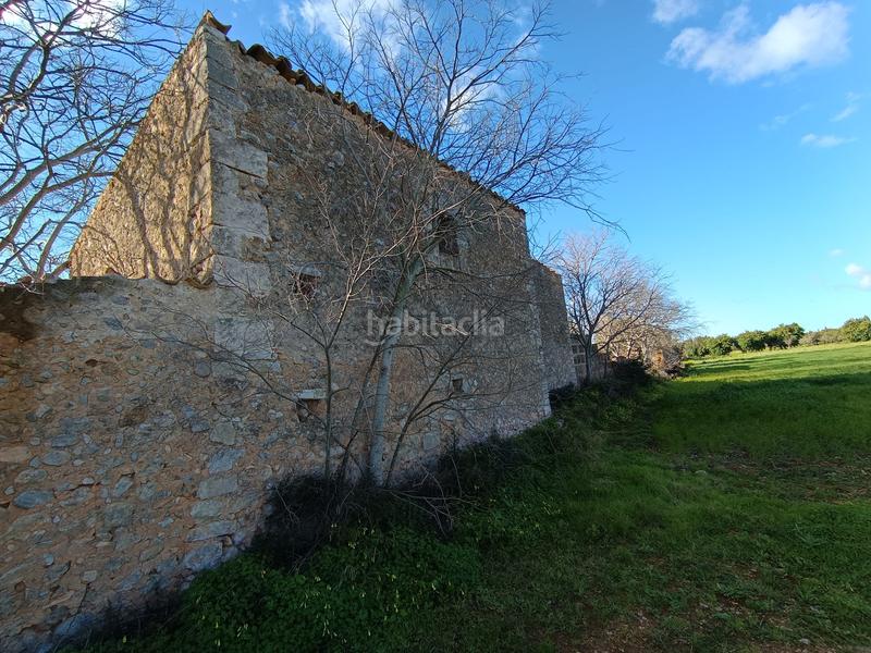 Foto c6aabf88-142f-4667-a955-09bd50daf4bd. FInca rústica a Zona Periurbana Inca