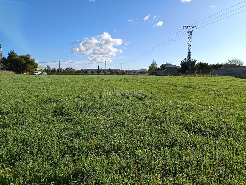 Foto e1ef8924-574d-4e79-9876-3e45100525dd. FInca rústica a Zona Periurbana Inca