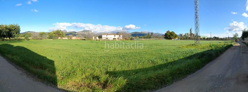 Foto e62f64ee-e284-4095-aa1c-ebc59770f335. FInca rústica a Zona Periurbana Inca