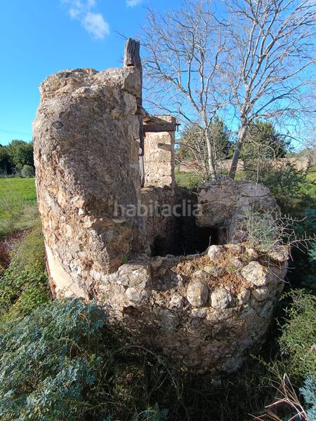 Foto e73c20d4-8794-4ffa-90c1-406d6099024b. FInca rústica a Zona Periurbana Inca