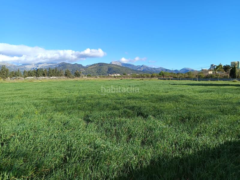 Foto f72b3cf1-e033-4047-a974-48a897e54849. FInca rústica a Zona Periurbana Inca