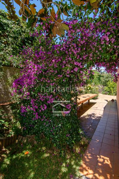 Foto 6969688c-42ee-4223-a775-20b1e4fc0abd. Chalet con camino riscaldamento parcheggio piscina in Mataró