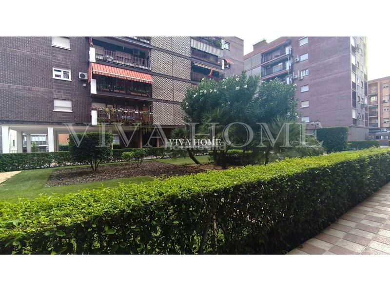 Foto 15787f71-25cc-4fda-a3ab-73137b905284. Pis a Abrantes Madrid