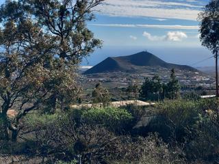 Finca rústica a Granadilla de Abona ciudad. Bonito terreno en zona las chozas, granadilla de abona
