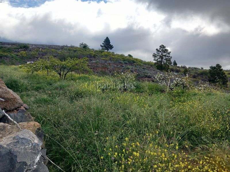 Foto 15e72330-2980-469d-9a9a-23a4aa13b66e. Finca rústica a Vilaflor