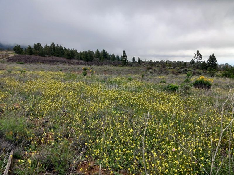 Foto 169c63e0-a04b-4bc9-ab3a-80d5c183687e. Finca rústica a Vilaflor