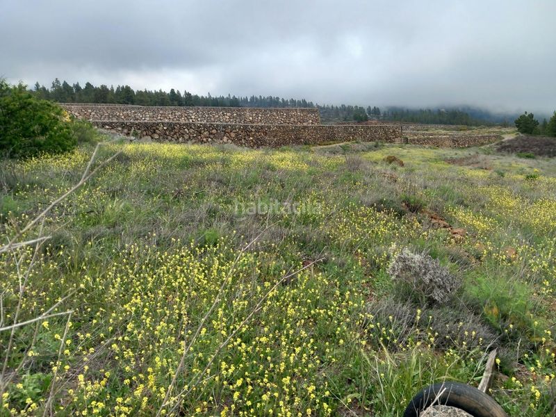 Foto 62ddc9e4-59b8-470b-bbe7-ca557a71ca4c. Finca rústica a Vilaflor