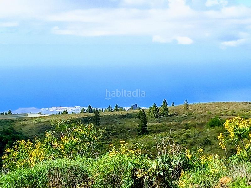 Foto 6783be1e-2b7f-49c1-866f-7a0a342fac99. Finca rústica a Vilaflor