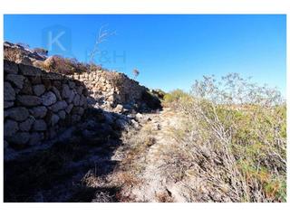 Finca rústica en El Escobonal - Pájara. Gran terreno con huertas descansadas en gimar