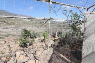 Finca rústica en Arico. Terreno con construcción a reformar e invernaderos en arico viej