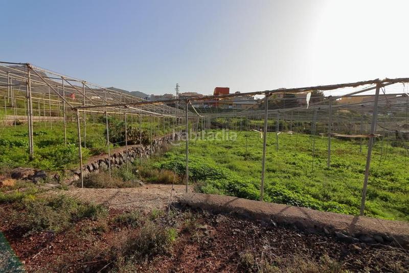 Foto 1fd17ce4-7967-462f-8285-b0c5161dae88. Fondo rustico in Cabo Blanco Arona