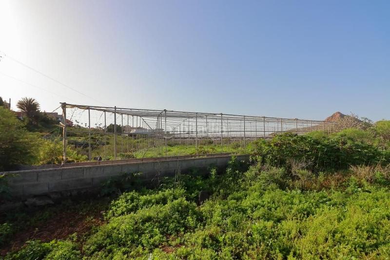 Foto 26eaf207-6206-4ad0-bee4-aec27431ebc0. Fondo rustico in Cabo Blanco Arona