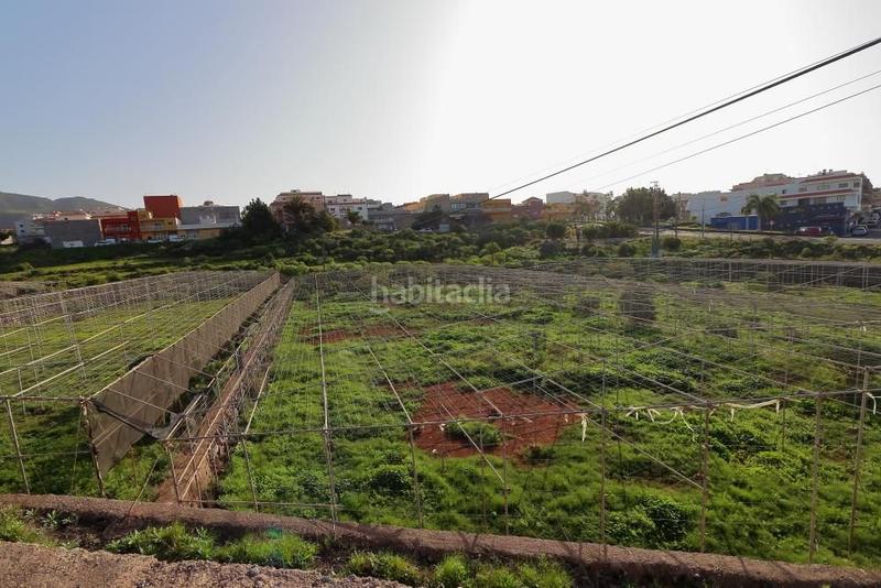 Foto 5adf435a-d297-4261-8c98-d5df535d8922. Fondo rustico in Cabo Blanco Arona