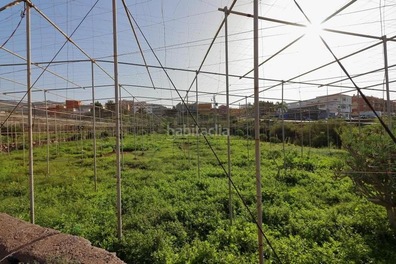 Foto 6f3c3c56-cc13-417d-8b8d-0b8598249e9d. Fondo rustico in Cabo Blanco Arona