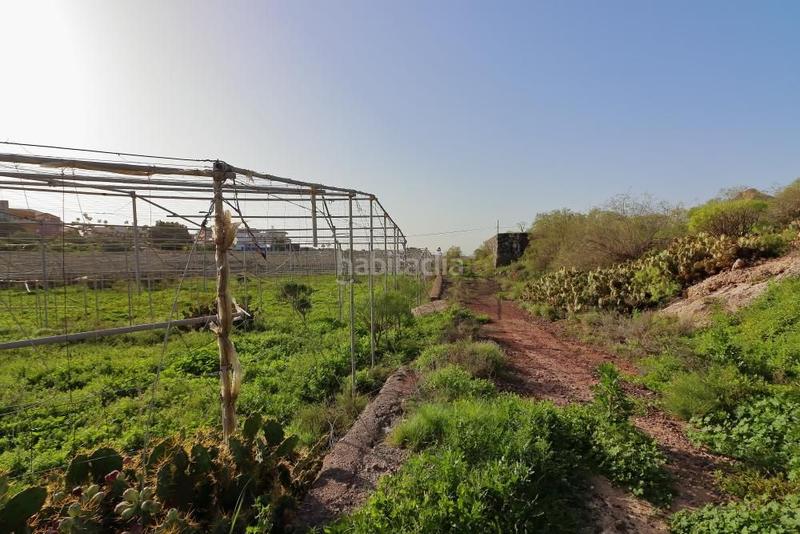 Foto 76bf8aca-95db-42f7-ba9e-45035c0b21f6. Fondo rustico in Cabo Blanco Arona