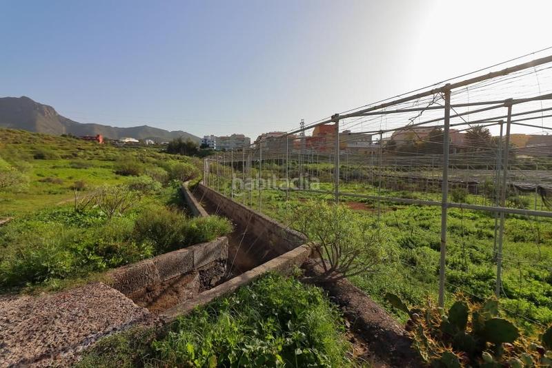 Foto f8dfab6f-b291-44af-b921-e533a4bbf6c9. Fondo rustico in Cabo Blanco Arona