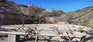 Finca rústica a Granadilla de Abona ciudad. Terreno rústico en granadilla con acceso rodado