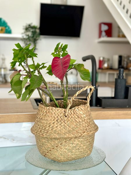 Foto 3754b5ce-5820-4c8c-968e-30d6c82bdb22. Casa adossada amb calefacció a Creu Alta Sabadell