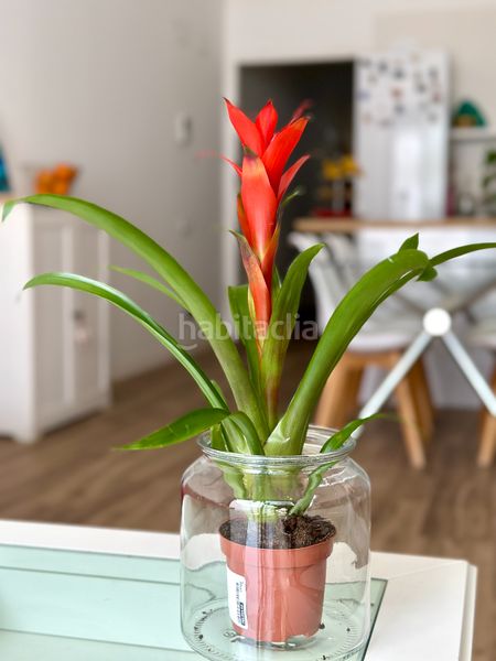 Foto 603957e9-0d9c-4c06-96da-369fa4aab788. Casa adossada amb calefacció a Creu Alta Sabadell