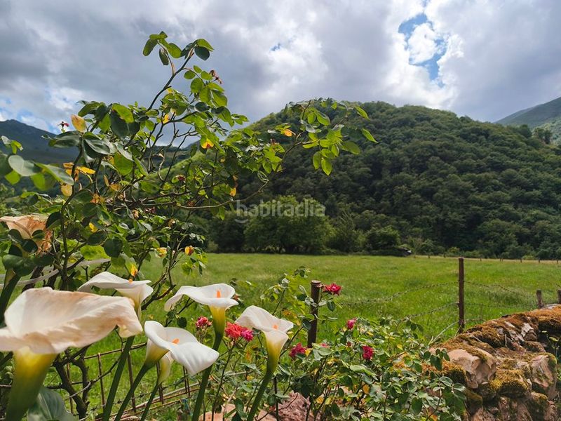 Foto de1cedaf-d06d-4963-b838-0ea02cf97ef6. Casa a lugar boinas 20a a Belmonte de Miranda