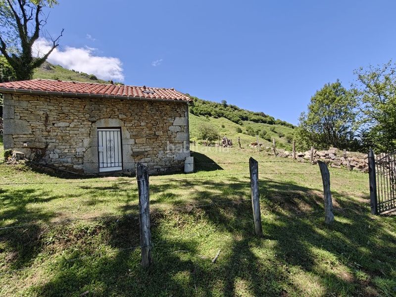 Foto 0f4d46ed-80e5-4095-8408-735c3641ef65. Finca rústica a Proaza