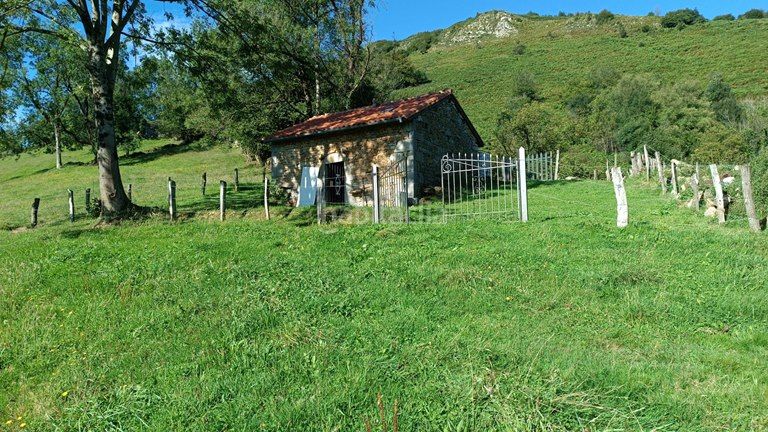 Foto 249981d7-ba77-4932-80b3-47e7b07c153f. Finca rústica a Proaza