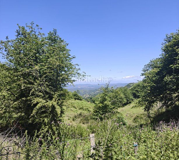Foto 4bc5f947-8fb8-41fc-9b71-d7c26dd09396. Finca rústica a Proaza